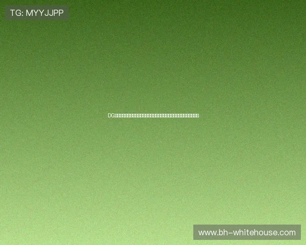 DG视讯中国区官方安全保障措施详解，保障玩家账号安全与游戏环境的稳定性