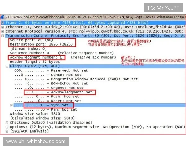 K8视讯版常见问题与解决方案汇总帮助玩家快速排除使用中的困扰